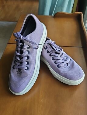 allbirds Men's Lavender Canvas Low-Top Sneakers